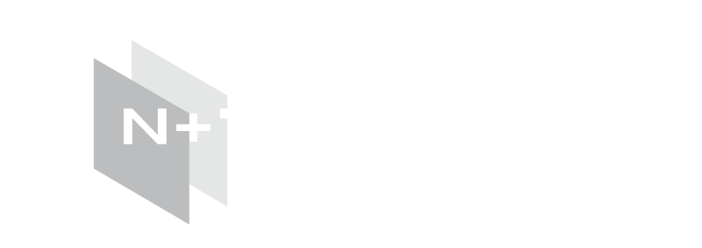 N+1 Analytics